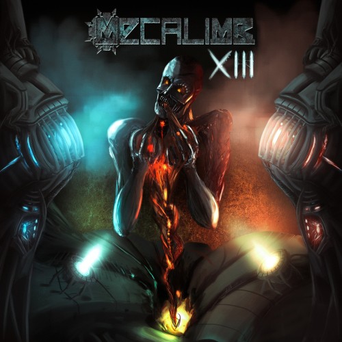 MECALIMB "XIII"