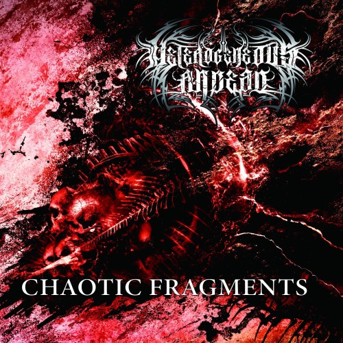 HETEROGENEOUS ANDEAD "Chaotic Fragments"