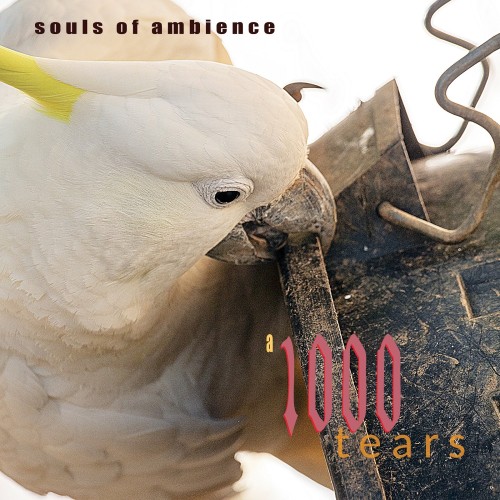 SOULS OF AMBIENCE "A 1000 Tears"